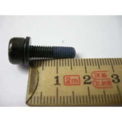 Shimano Befestigungsschrauben Für Scheibenbremsadapter PM Auf Flat Mount