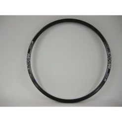 DT Swiss Felge M 502 Disc