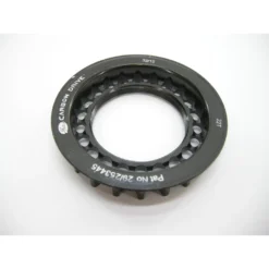 Gates CDC Hinten Für Rohloff