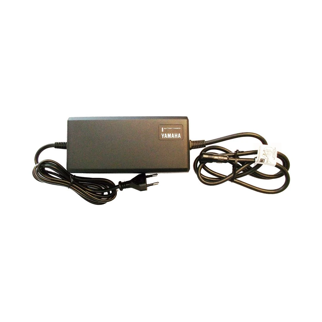 Yamaha Ladegerät PASC5 220-240V, Frequenz 50-60Hz