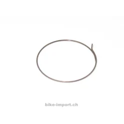 Fulcrum Sperrklinkenfedern 5-RM0-005 Für Freilaufkörper Ab Modell 2008